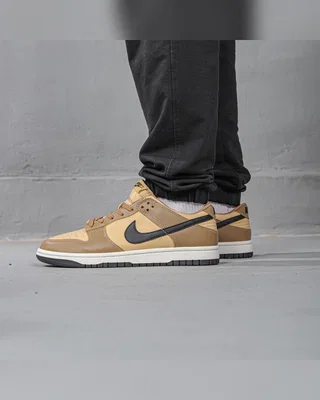 Nike Dunk Low 'Dark Driftwood' — головне фото товару