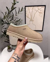 UGG Tasman Beige Blue — головне фото товару