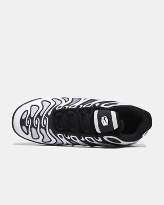 Nike Air Max Plus Drift 'Panda' FV4081-102 — головне фото товару