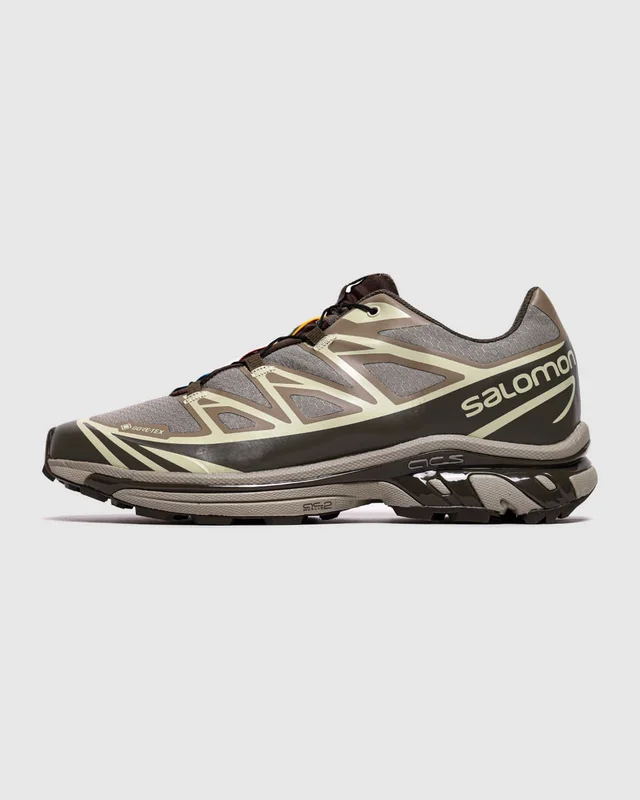 Salomon XT 6 Gore Tex Vintage Khaki Brow — головне фото товару