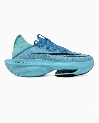 Nike Air Zoom Alphafly Next% 2 Blue — головне фото товару