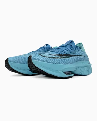 Nike Air Zoom Alphafly Next% 2 Blue — головне фото товару