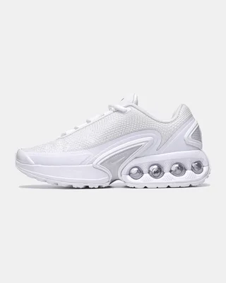 Nike Air Max DN 'White Metallic Silver' FJ3145 100 — головне фото товару