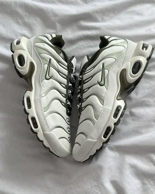 Nike Air Max Plus 'Light Bone Olive' FB9722-001 — головне фото товару