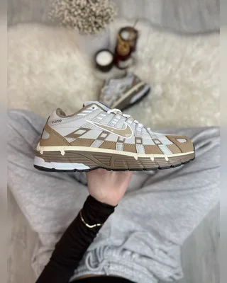 Nike p 6000 brown gore tex — головне фото товару