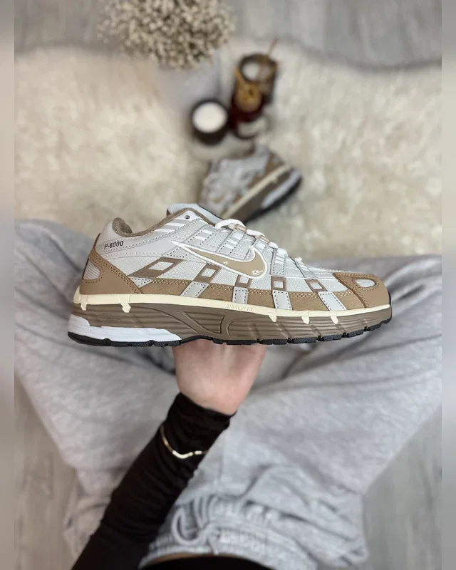 Nike p-6000 brown gore-tex — головне фото товару