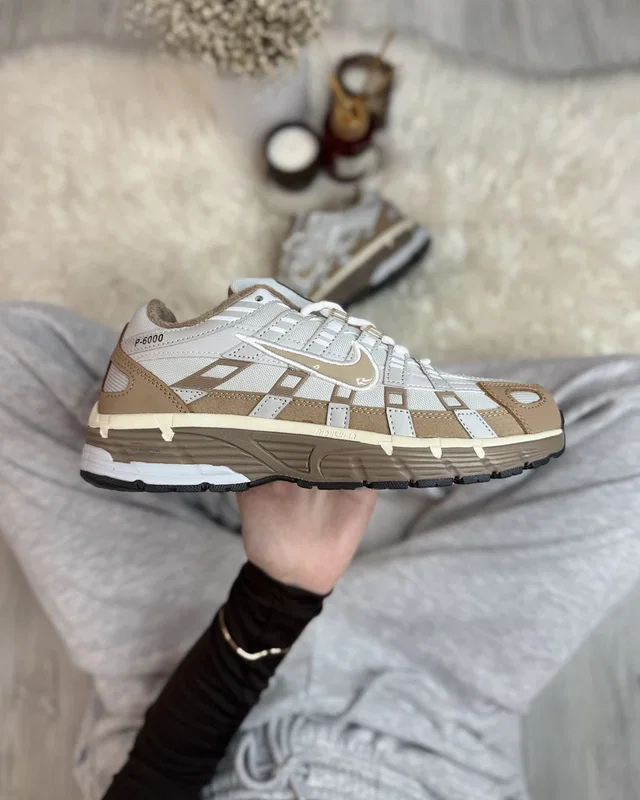 Nike p-6000 brown gore-tex — головне фото товару