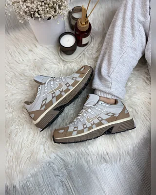 Nike p 6000 brown gore tex — головне фото товару