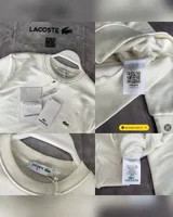 Світшот Lacoste — головне фото товару