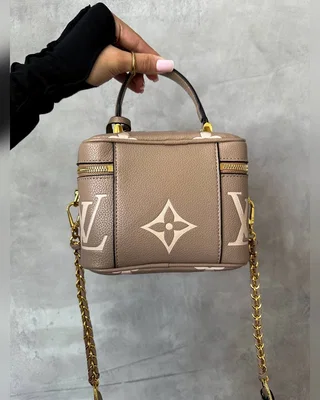 Louis Vuitton Vanity PM Bag Grey Boise de Rose [кришка дно коробка] — головне фото товару