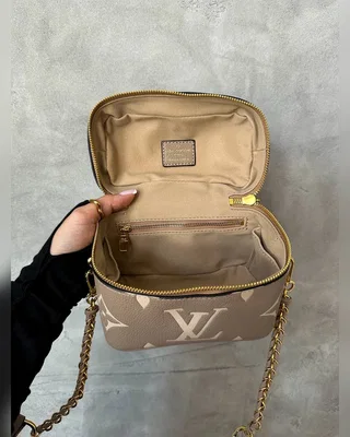Louis Vuitton Vanity PM Bag Grey Boise de Rose [кришка дно коробка] — головне фото товару