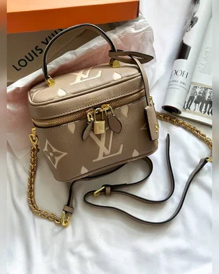 Louis Vuitton Vanity PM Bag Grey Boise de Rose [кришка дно коробка] — головне фото товару