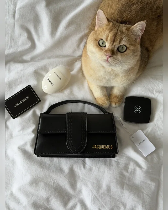 Jacquemus Le Bambino Handbag With Adjustable Crossbody Black 20 х 10 х 6 — головне фото товару