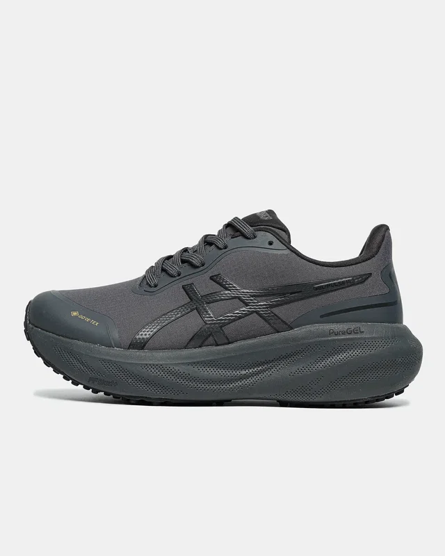 Asics Gel-Kayano 30 Gore-Tex Black-blue — головне фото товару