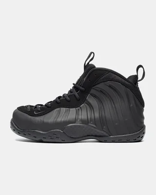 Nike Air Foamposite One 'Anthracite' — головне фото товару
