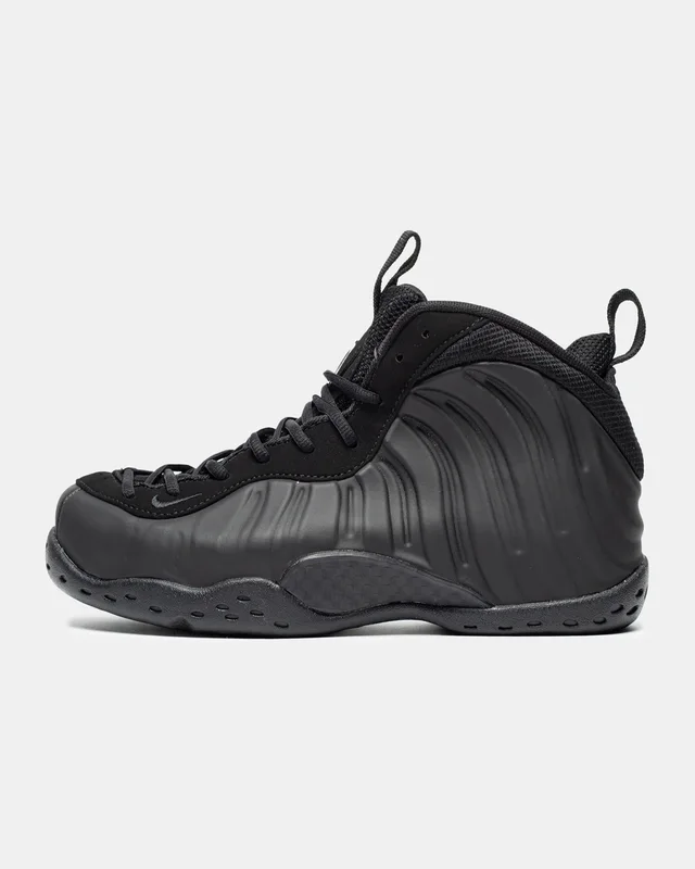 Nike Air Foamposite One 'Anthracite' — головне фото товару