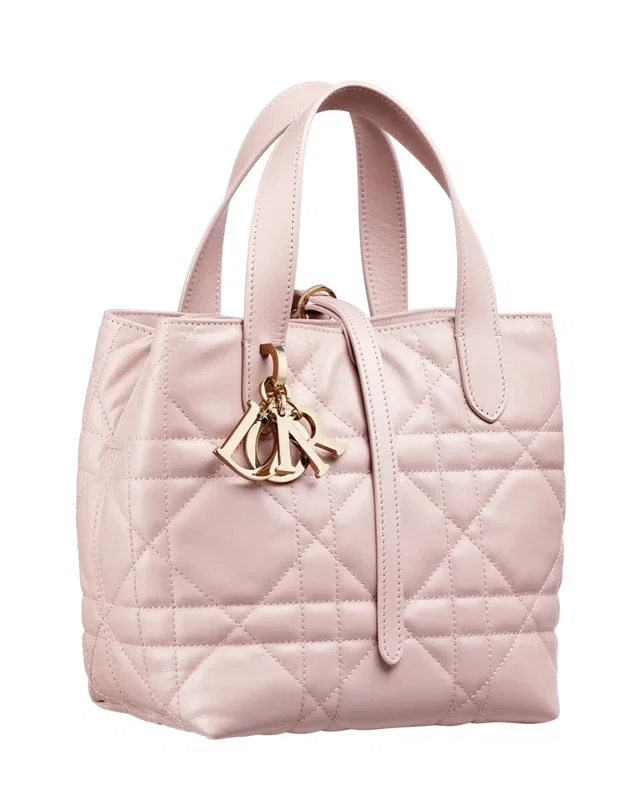 Dior Toujours Vertical Nano Tote Bag Powder — головне фото товару