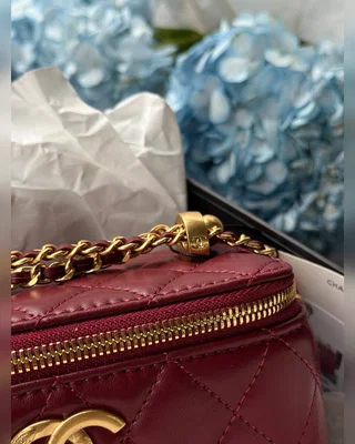 Chanel Classic Red Lambskin Pearl Crush Vanity Bag Gold 17 х 11 х 8 — головне фото товару