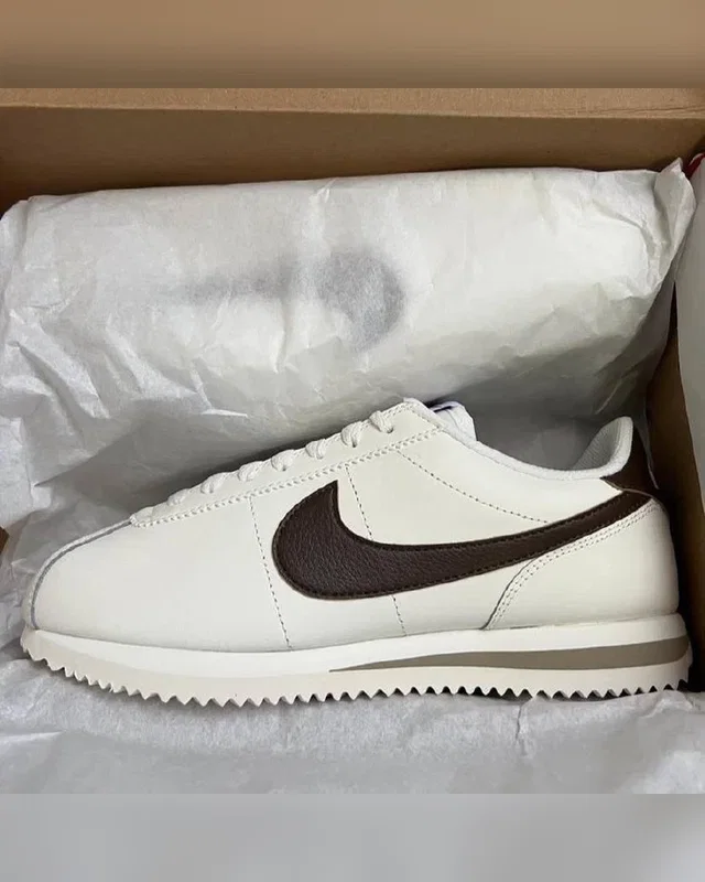 Nike Sail Brown — головне фото товару