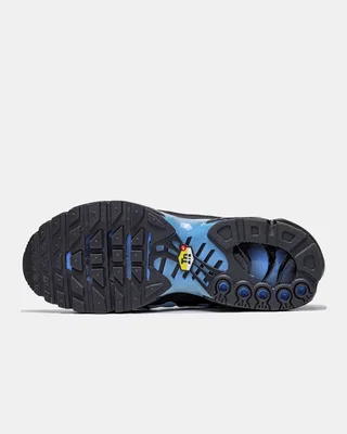 Nike Air Max Plus 'Blue Gradient' FQ0204-010 — головне фото товару