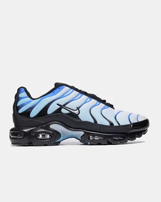 Nike Air Max Plus 'Blue Gradient' FQ0204-010 — головне фото товару