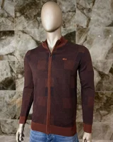 Светр Lacoste — головне фото товару