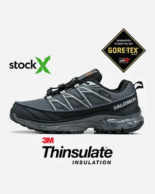Salomon 1789 Salomon XA Pro Street Gore Tex Термо — головне фото товару