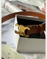 Celine Triomphe Belt Brown/Gold — головне фото товару
