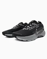 Nike Pegasus Trail 5 Gore-Tex Black/Crey — головне фото товару