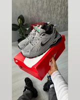 Nike Zoom Winflo Termo Light Grey — головне фото товару