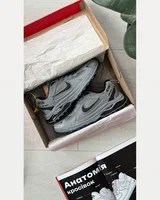 Nike Zoom Winflo Termo Light Grey — головне фото товару