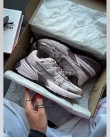 Nike V2k Run Platinum Grey — головне фото товару