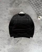 Світшот Louis Vuitton — головне фото товару