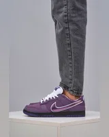 Nike SB Dunk Low Purple Lobster — головне фото товару