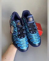 Nike Air Max TN Plus Drift Blue — головне фото товару