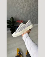 Dior Walk'n'Dior Grey — головне фото товару