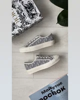 Dior Walk'n'Dior Grey — головне фото товару