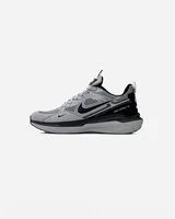 Nike Zoom Winflo Light Grey — головне фото товару