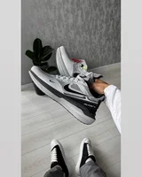 Nike Zoom Winflo Light Grey — головне фото товару
