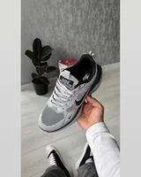 Nike Zoom Winflo Light Grey — головне фото товару