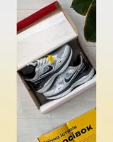 Nike Zoom Winflo Light Grey — головне фото товару