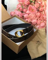Coach Sculpted C Buckle Belt Brown/Gold 100 x 2.5 Інше — головне фото товару