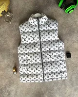 Жилет Louis Vuitton — головне фото товару