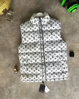 Жилет Louis Vuitton — головне фото товару