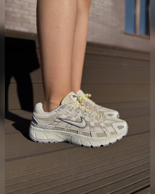 Nike p-6000 beige grey — головне фото товару