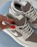 Nike Dunk Low Gore-Tex Light Bone Mink Brown — головне фото товару