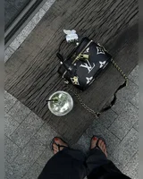 Louis Vuitton Vanity PM Bag Monogram Black/White [кришка дно коробка] — головне фото товару