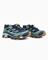 Salomon XT-6 Bering Sea Gore-Tex — головне фото товару