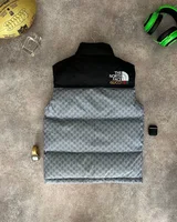 Gucci TNF + — головне фото товару