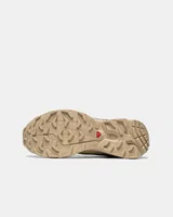 Salomon XT-6 Beige GT — головне фото товару